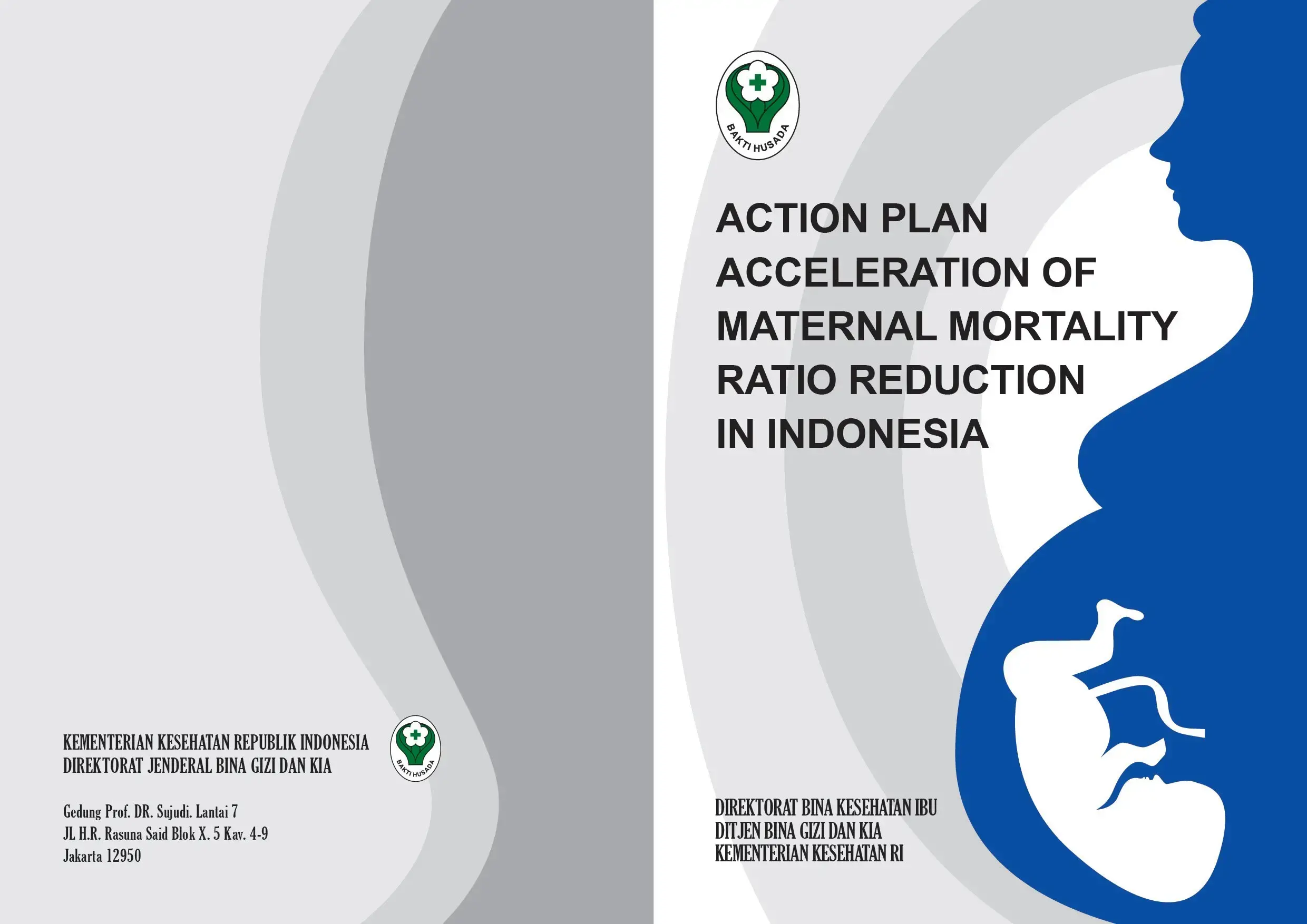 Action Plan - Acceleration of Maternal Mortality Ratio Reduction in Indonesia